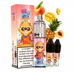 Tornado 15K-20K puffs 2% - Big Puff Pêche Mangue Ananas